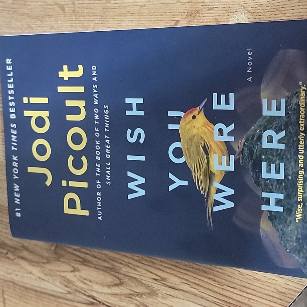 Wish You Were Here by Jodi Picoult book
